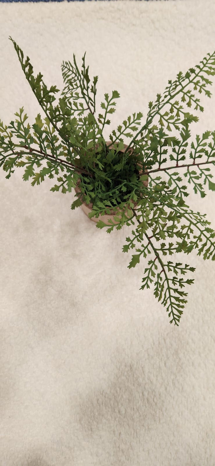 Boucle Cream